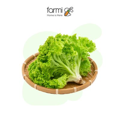 Xà Lách Lolo Xanh Kamereo 300g