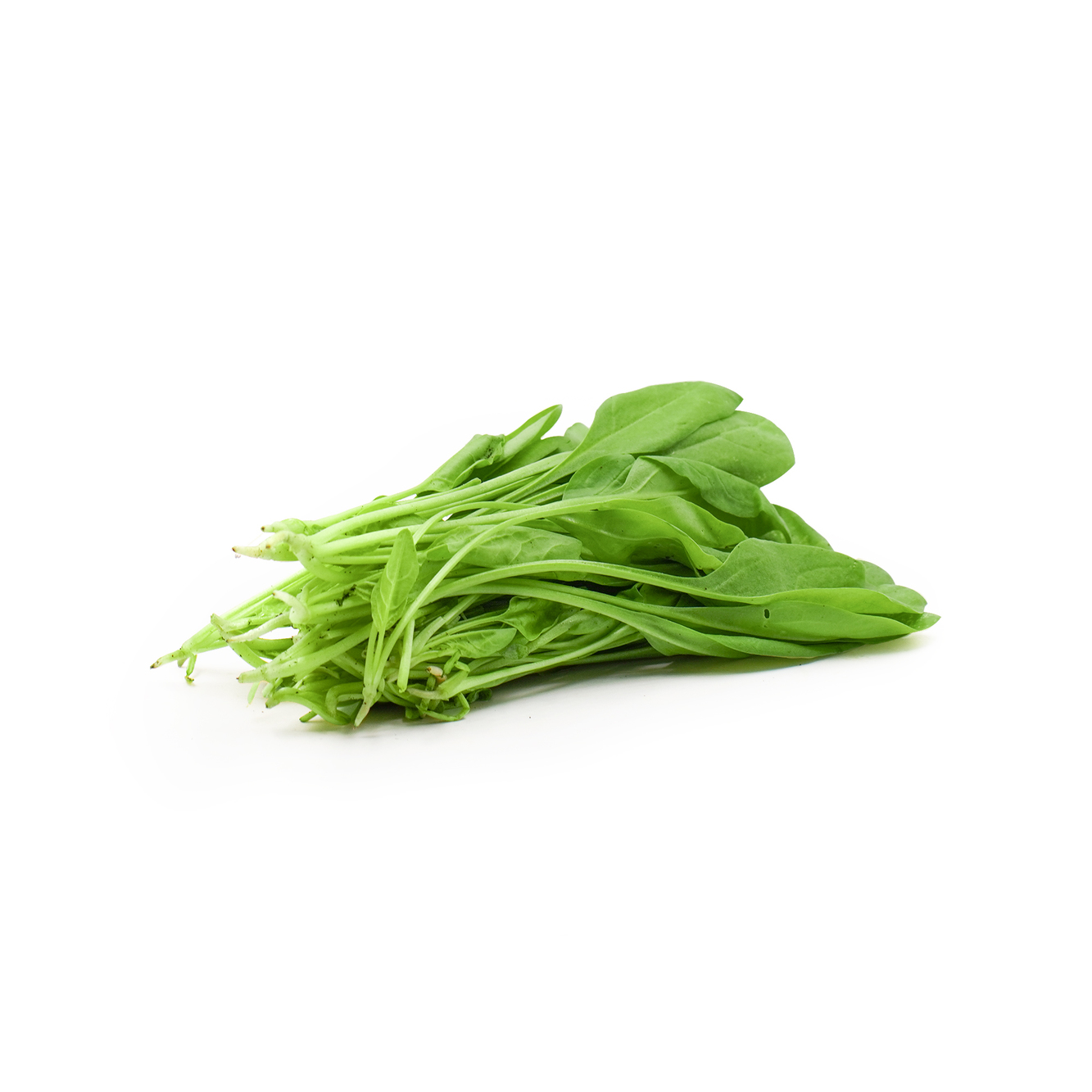 Kamereo ほうれん草 300g