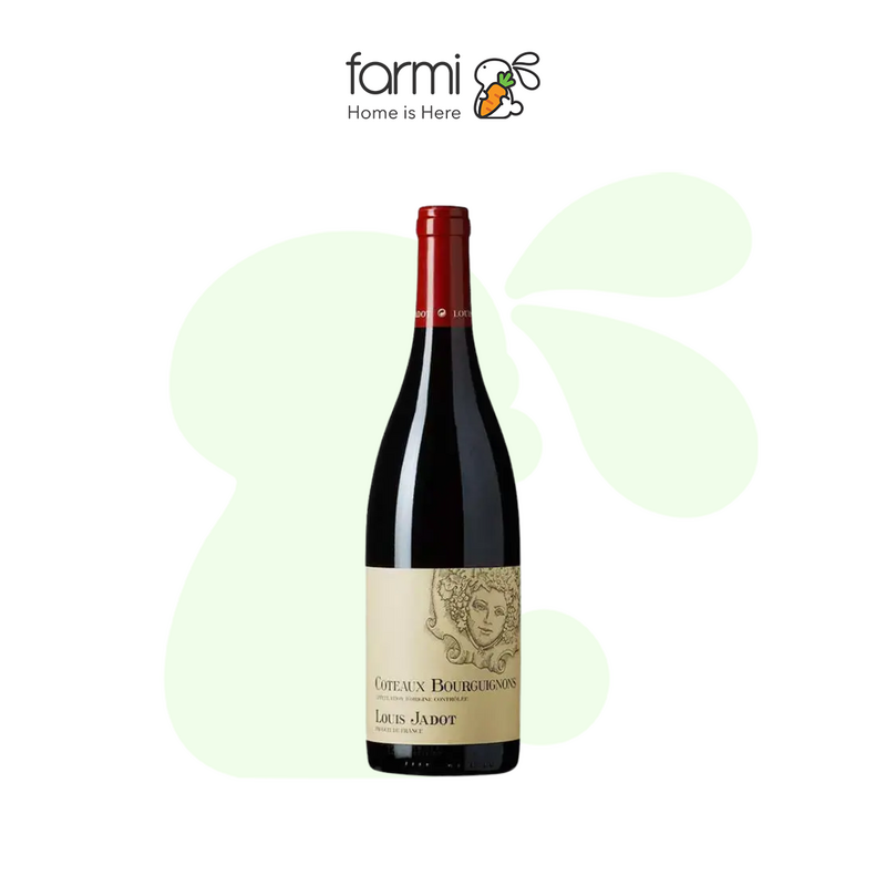 Louis Jadot, Coteaux Bourguignon (Red) 750ml