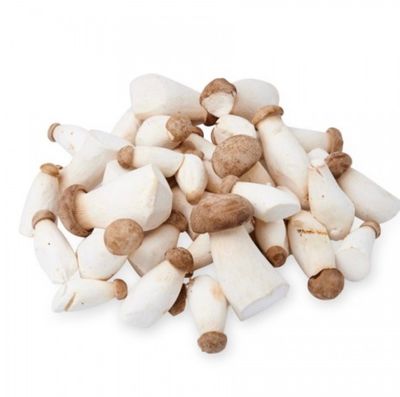 Mini King Oyster Mushroom - Kamereo