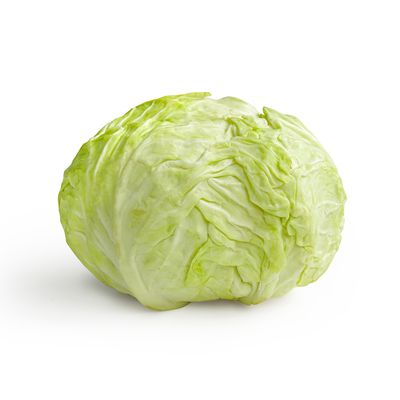 Bắp Cải - Kamereo